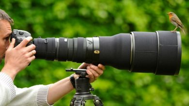 nature_birds_men_professional_photographers_photo_camera-800x550