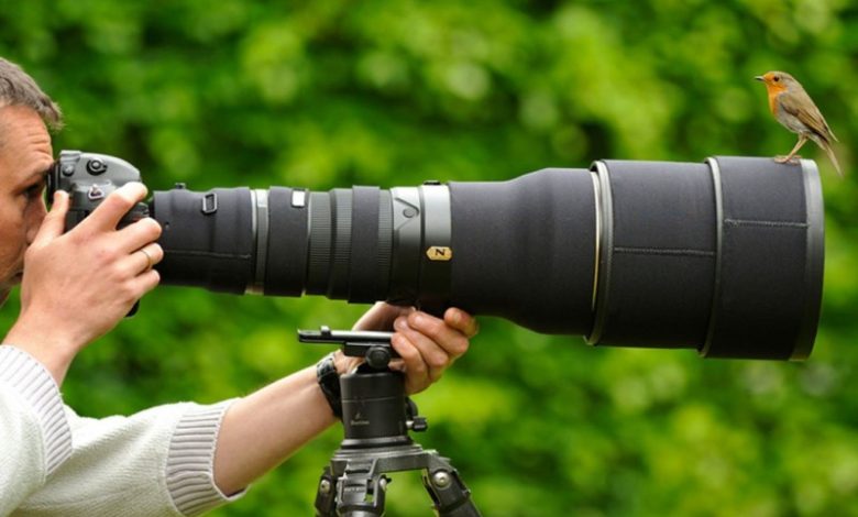nature_birds_men_professional_photographers_photo_camera-800x550