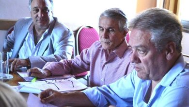 diputados-lovera-y-bortiri