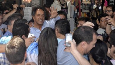 scioli