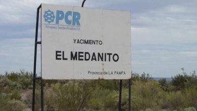 yacimiento-medanito-1