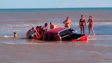 camioneta-pampa-monte