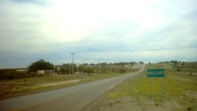 puelches-1