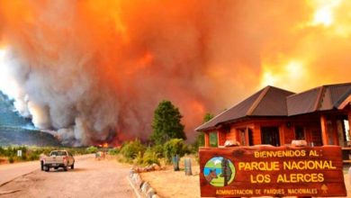 incendio-parque-los-alerces