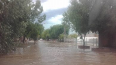 temporal-1