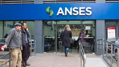 anses-1