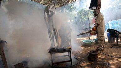 caso-zika-cordoba