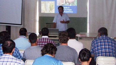 curso-uvas-casa-de-piedra