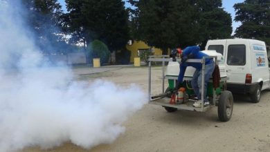 fumigacion-25