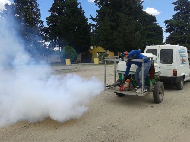 fumigacion-25