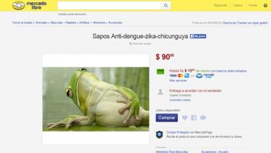 venta-sapos