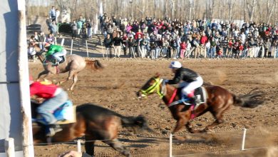 carreras-caballo-25-de-mayo-1
