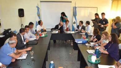 paritria-docente-gobierno