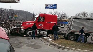 perro-en-camion