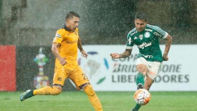 rosario-perdio-palmeiras