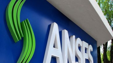 anses-1