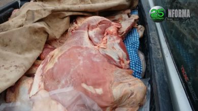 carne-faena