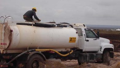 petroleo-biorremdiación