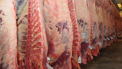 costillares