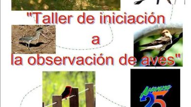 FB_IMG_1475155714157