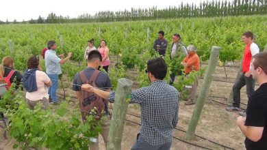 vinoscasadepiedra2016-111
