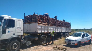 camion-leña