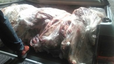 carne-puente4