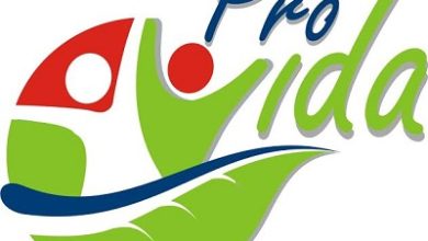 logo_provida