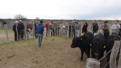PRODUCCIÓN-JORNADA-DE-PASTIZALES-768x432