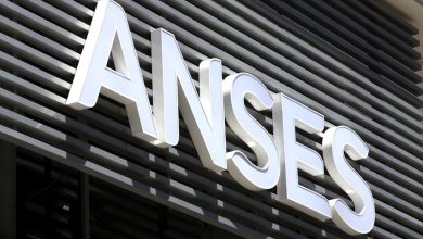 anses