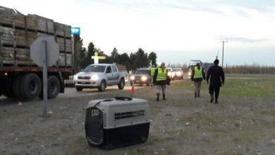 puente-dique-operativo