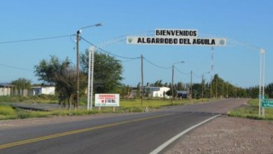 algarrobo-del-aguila