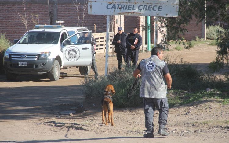 vallejos1-canes