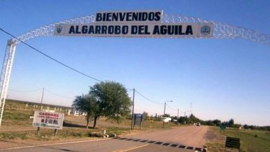 algarrobo-del-aguila