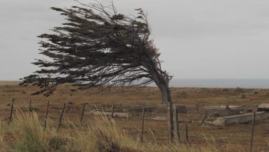 VIENTO-777x437