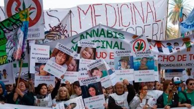 cannabis