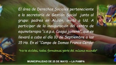 equinoterapia-25