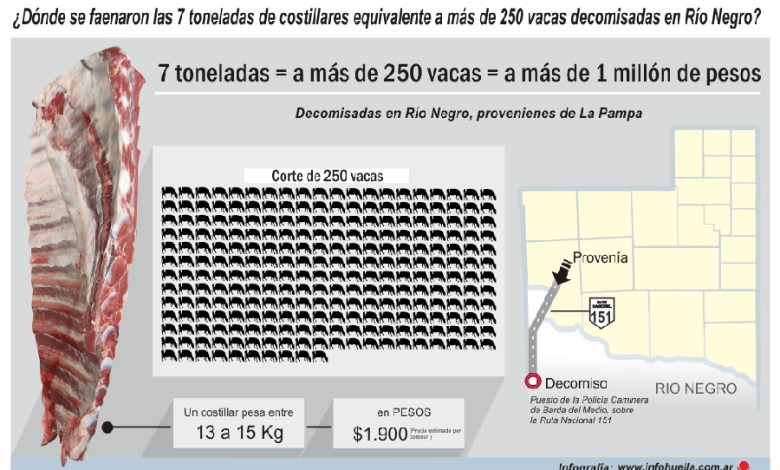 multimedia.normal.a1c65e044a7c5c5e.76616361736661656e615f6e6f726d616c2e706e67