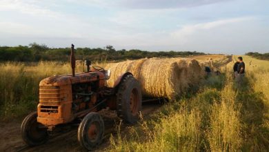 tractor1