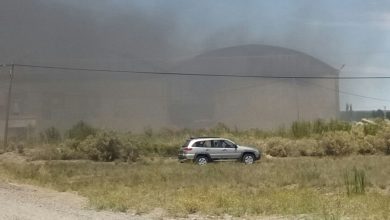 zoxi-incendio