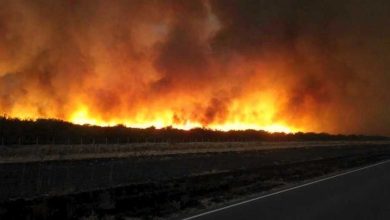 INCENDIOS-LA-PAMPA