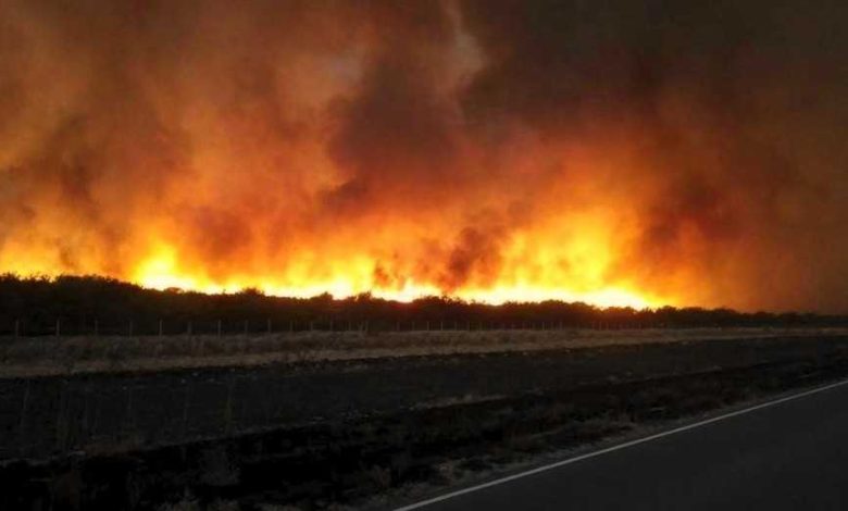INCENDIOS-LA-PAMPA