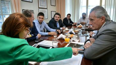 bullrich-tierno