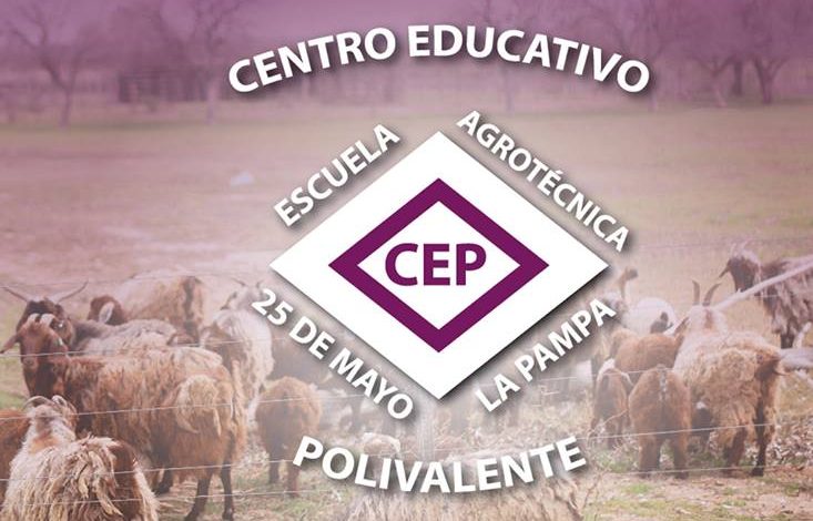 centro-educativo-polivalente
