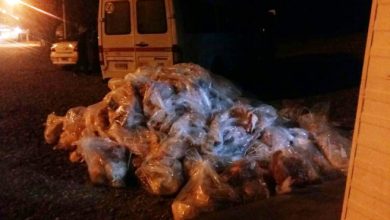 carne-trafic