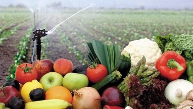 frutas-y-hortalizas