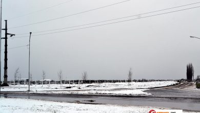 DSC_0049