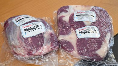PROGRAMA-CARNE-SOCIAL-3
