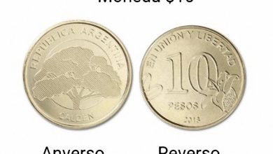 Moneda32b48dee