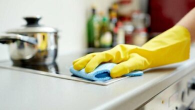 empleo-domestico